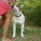 thayson 8 meses